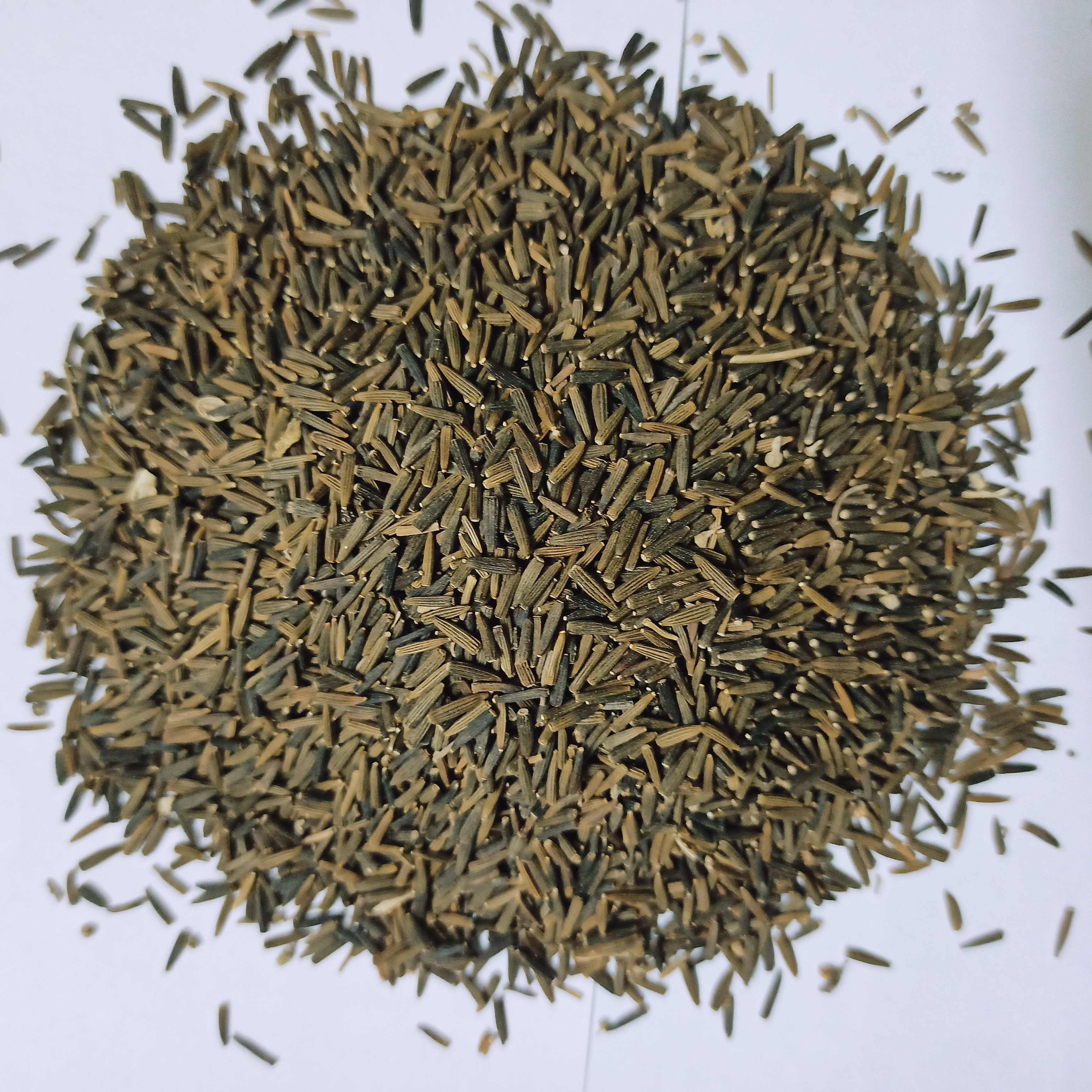sybazzar.com
